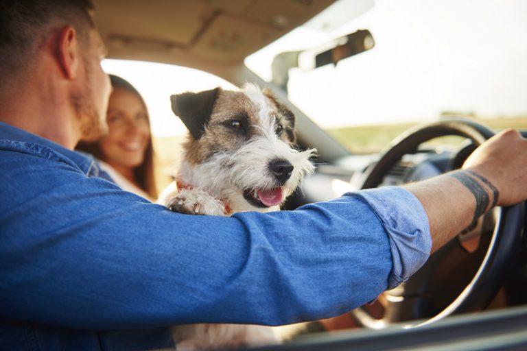 אוטוקראוון